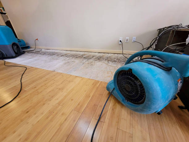 Professional Sewage Cleanup technician working in Churchville, MD